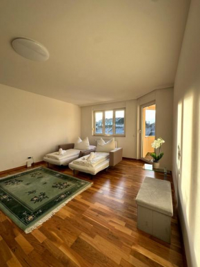Bright & Stylish Apartment in Vienna - newly renovated, city center easy to reach